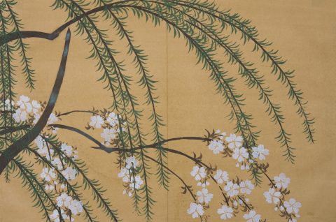 Spring Blossoms from the series Momoyagusa (Flowers of a Hundred Worlds)
