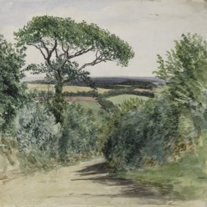 Landscape With Lane