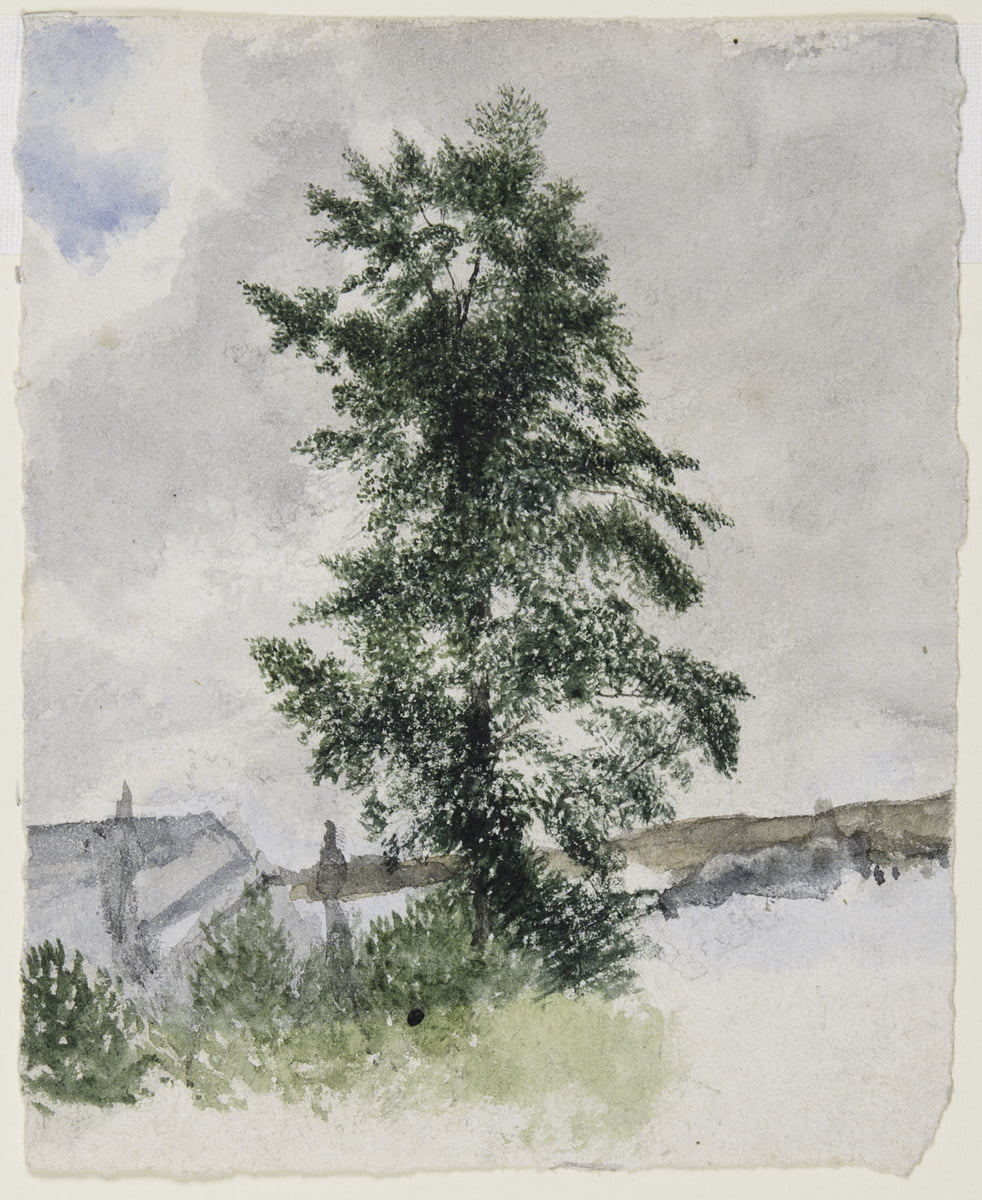 Landscape With Trees