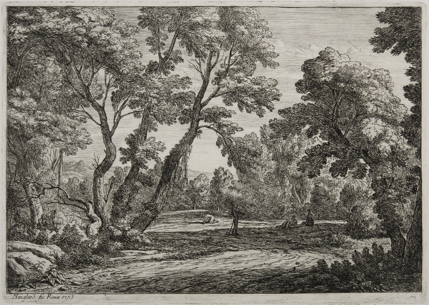 View Of A Forest
