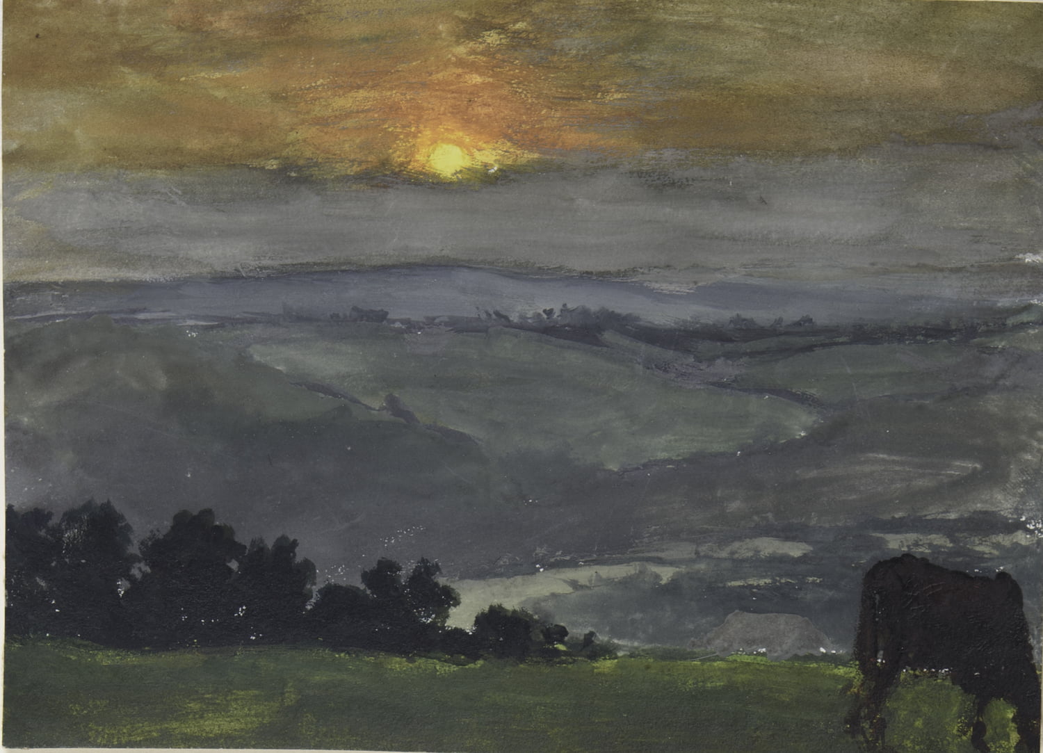 Landscape At Sunset, With Cow