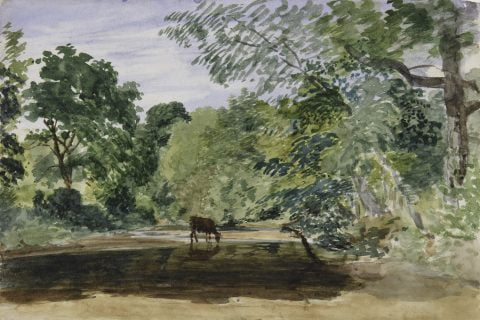 Landscape With Cow Drinking
