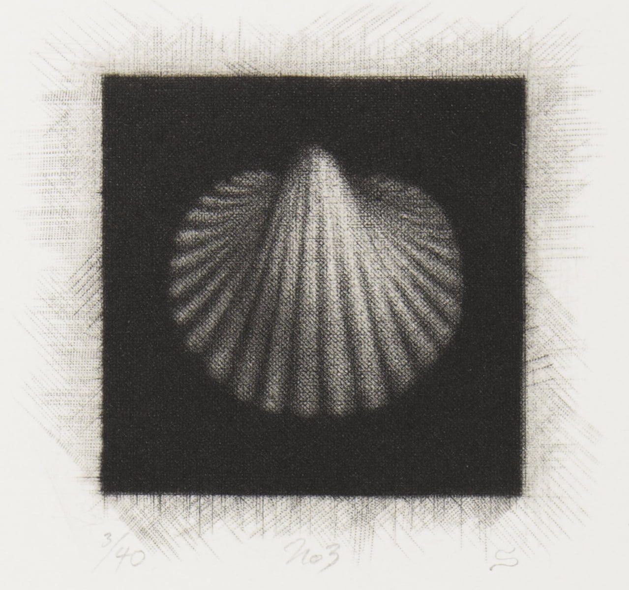 Lord Howe Island Series - Mezzotint