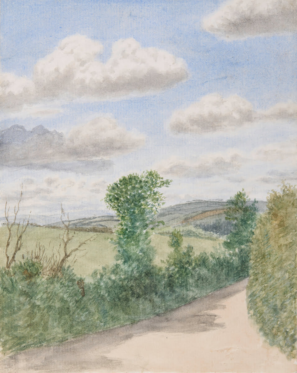 Landscape With Lane