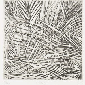 Lord Howe Island Series - Relief Etching