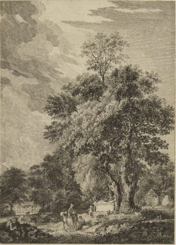 Landscape With Tall Central Tree