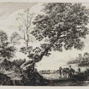 Landscape With Knarled Tree