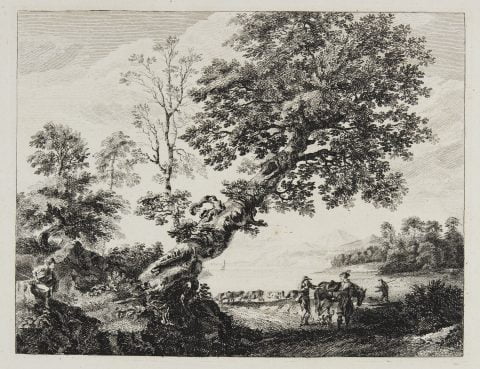 Landscape with gnarled tree