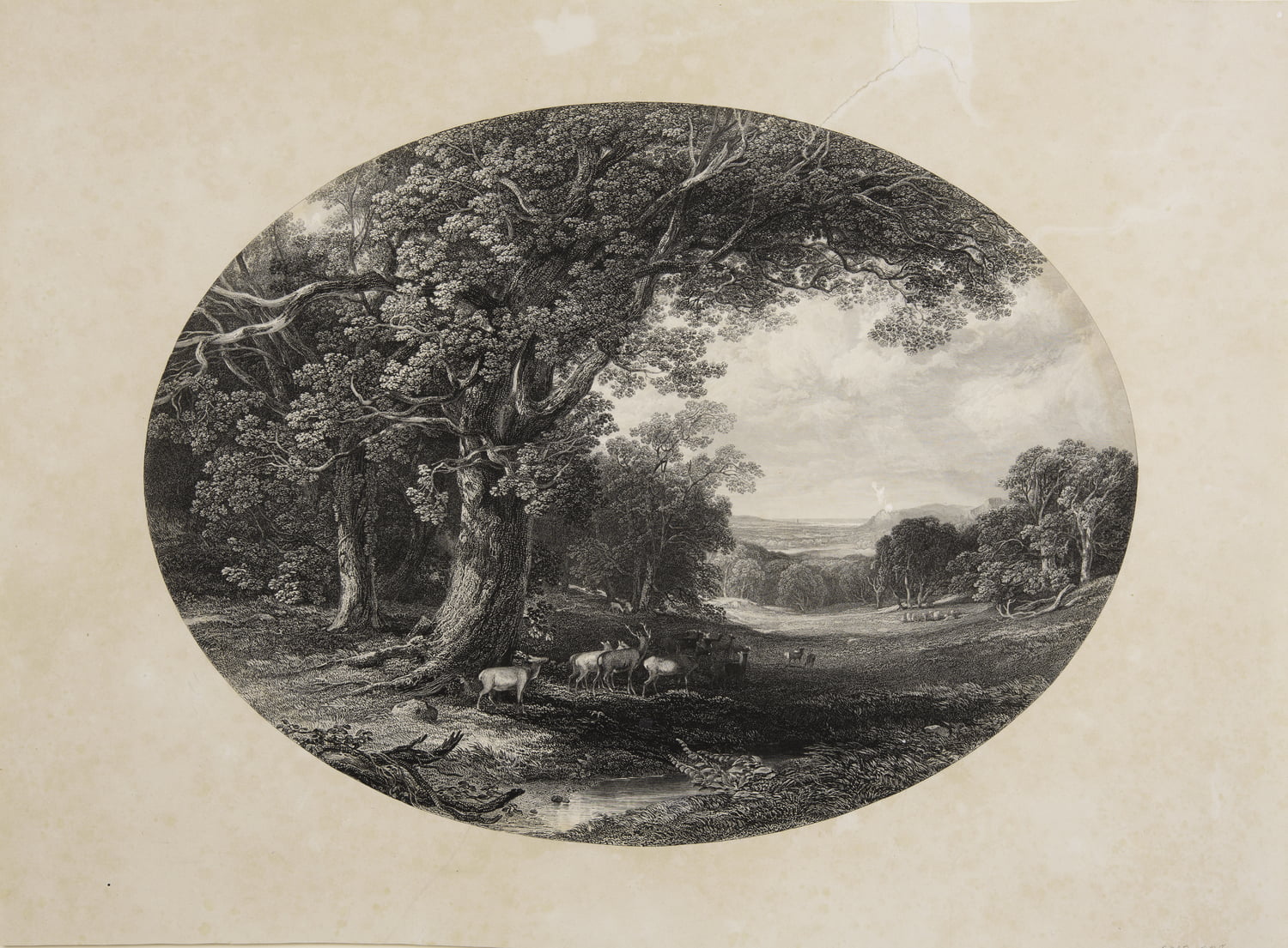 Landscape Through Trees, Oval
