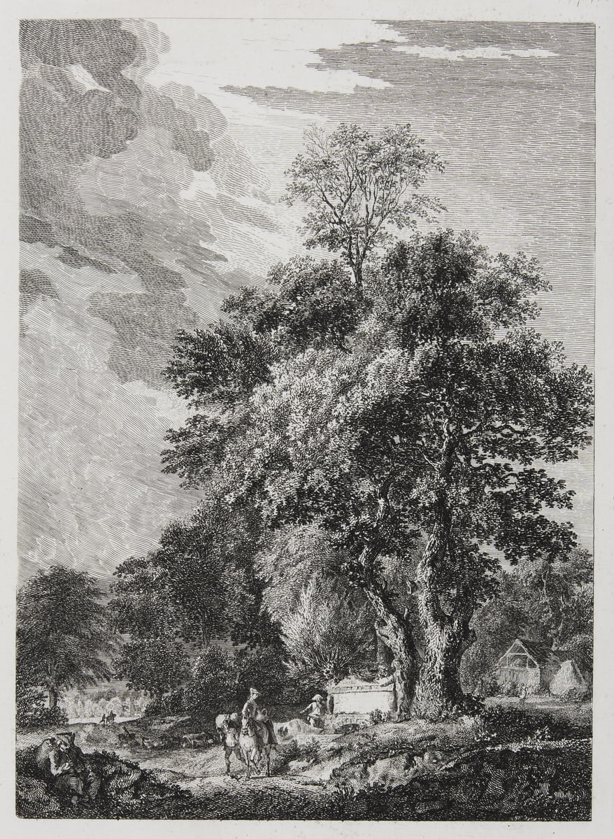 Landscape With Drinking Place