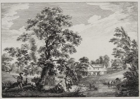 Scene With House In Background