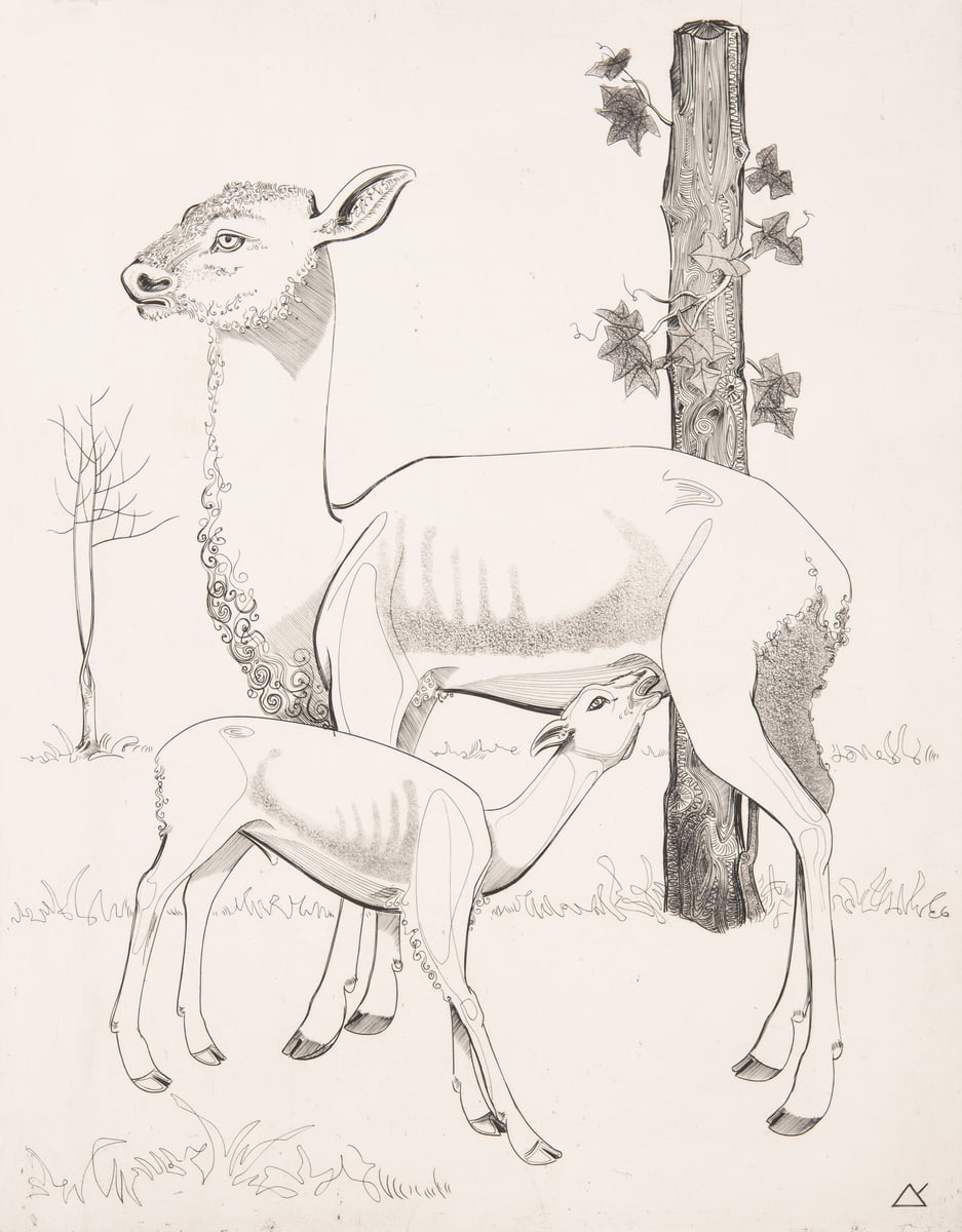 Doe and fawn