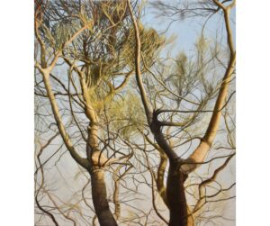 DAVID KEELING, '4.36 PM (Casuarinas)', 2010, oil on canvas. Gift of the Friends of Hamilton Gallery to celebrate the 50th anniversary