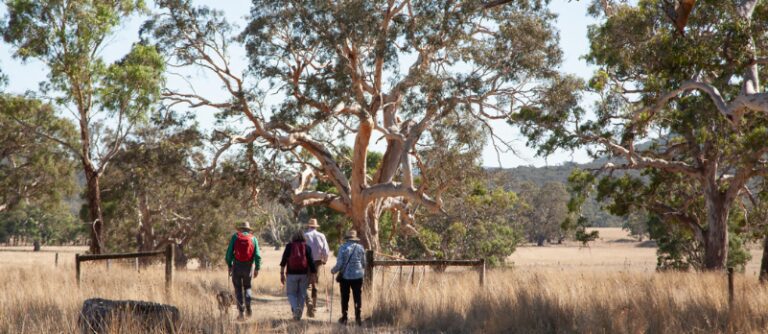 Walk whilst out for the Friend's Chevalier Picnic at Long Point - Photography by Jill Frawley