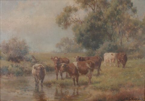 Cattle Grazing By The River